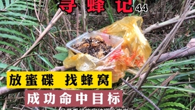a3fc58b0b52beec4acf8e6d90690bc5408e1e44d.jpg@280w_158h_1c_100q.jpg