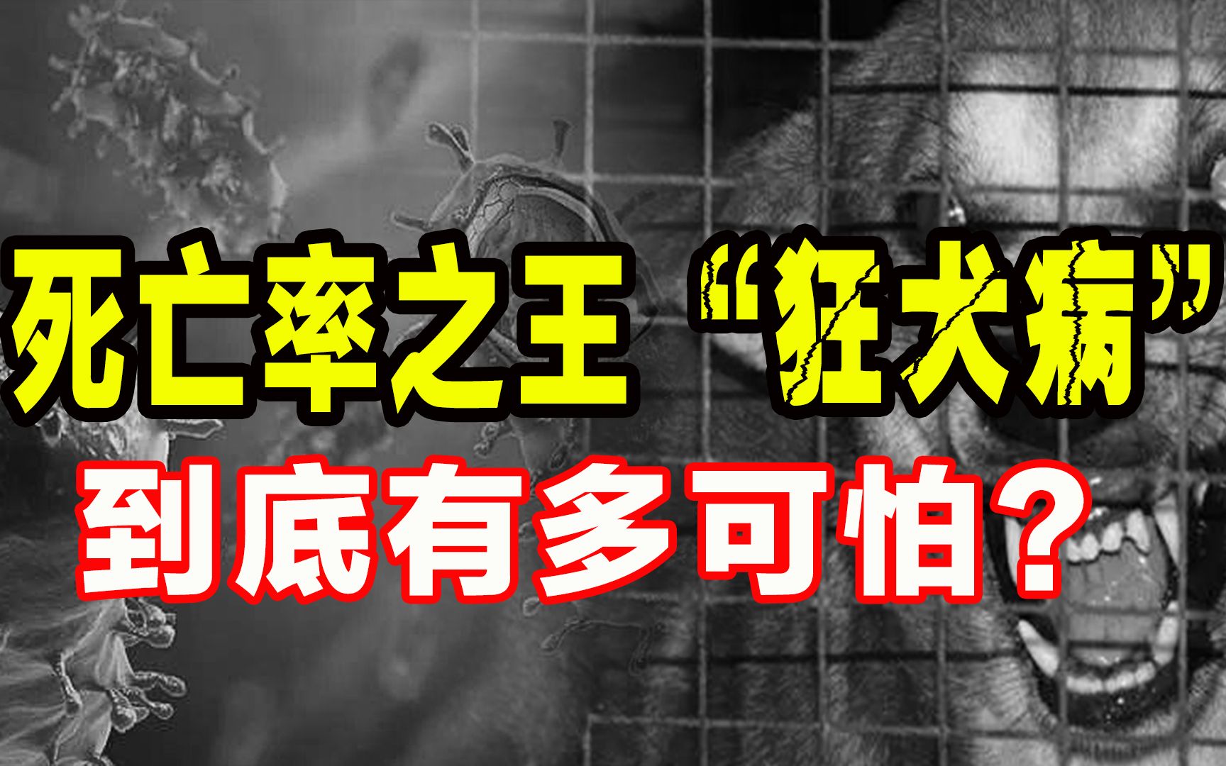 青浦农村犬狂犬病免疫电子免疫证上线_部门动态_新闻中心_上海市青浦区人民政府