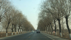 a409e50f989291a8f323fd0a129f06506999476b.jpg@280w_158h_1c_100q.jpg