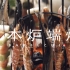 【日本炉端烧】自制烧烤中的爱马仕，你吃过吗？