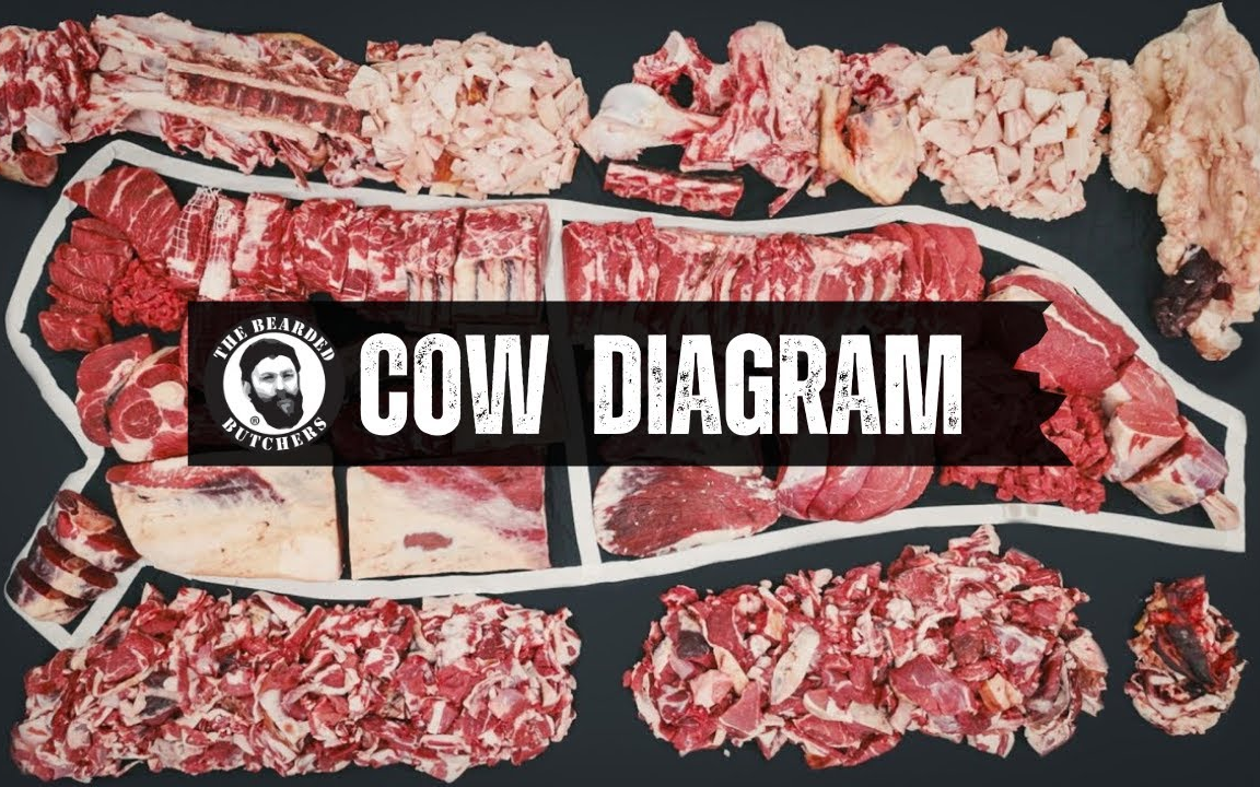 【大胡子屠夫】牛肉分割指南！带你了解每一块肉来自哪个部位！