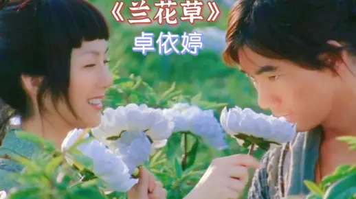 以前就是卓依婷这首《兰花草》让我喜欢上兰花，一晃20多年过去了
