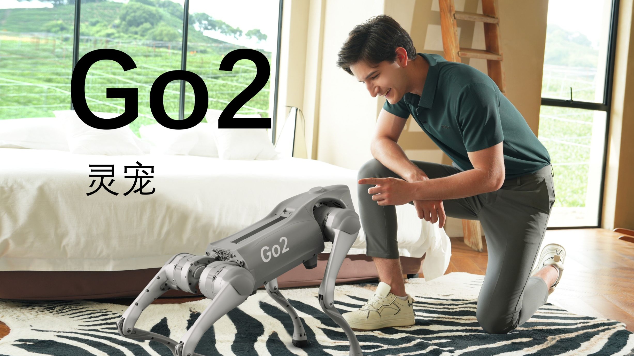 Go2使用教学16-灵宠