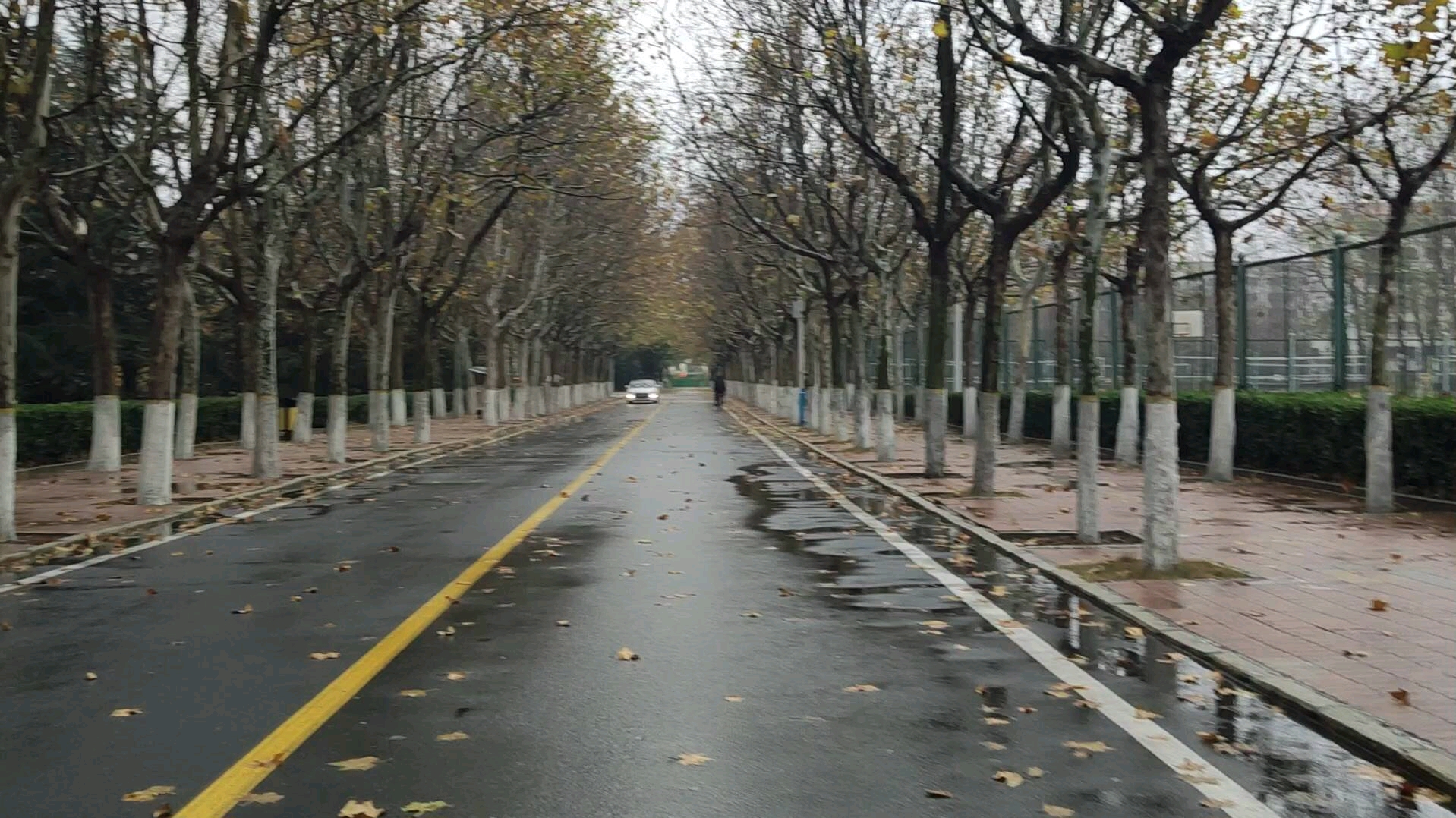 车道线识别lanedetection素材3