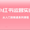 小红书运营实战课程：从入门到精通系列