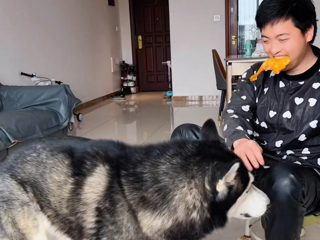 吃一堑长不了一智的狗，哈哈哈……