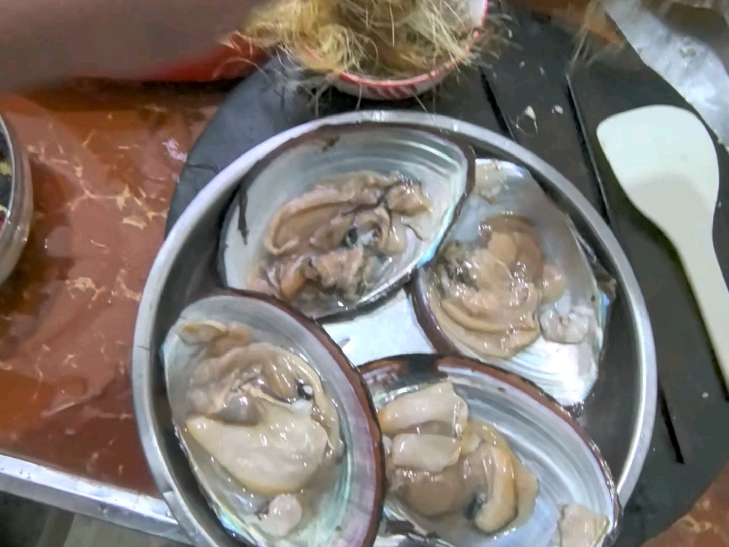 [堂哥TV]粉丝扇贝