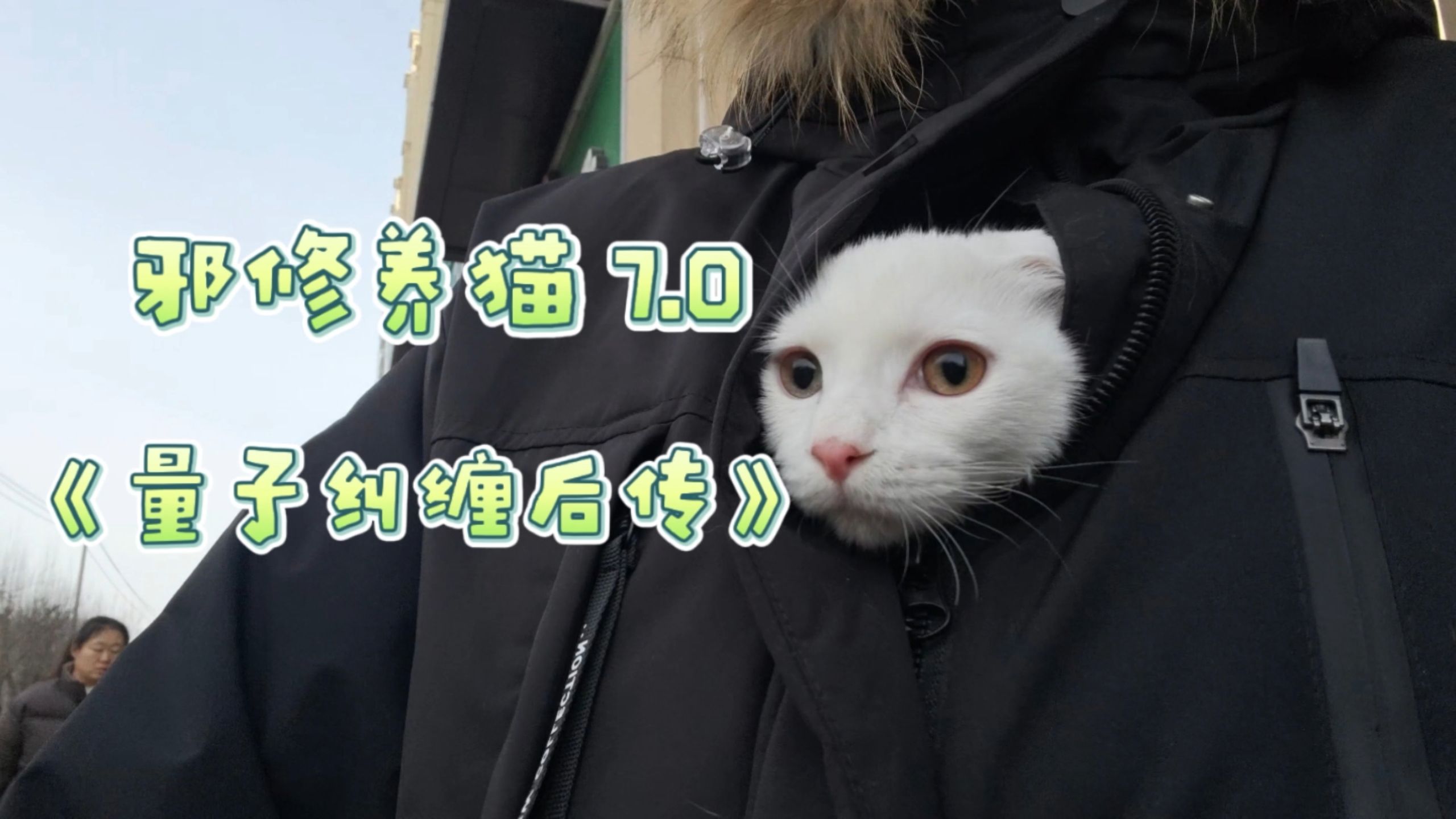 邪修养猫7.0量子纠缠后传