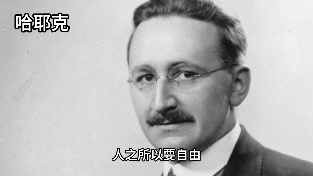 你要自由到底干什么？