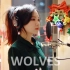 【油管惊艳翻唱】Selena Gomez, Marshmello - Wolves (Cover by J.Fla)（中