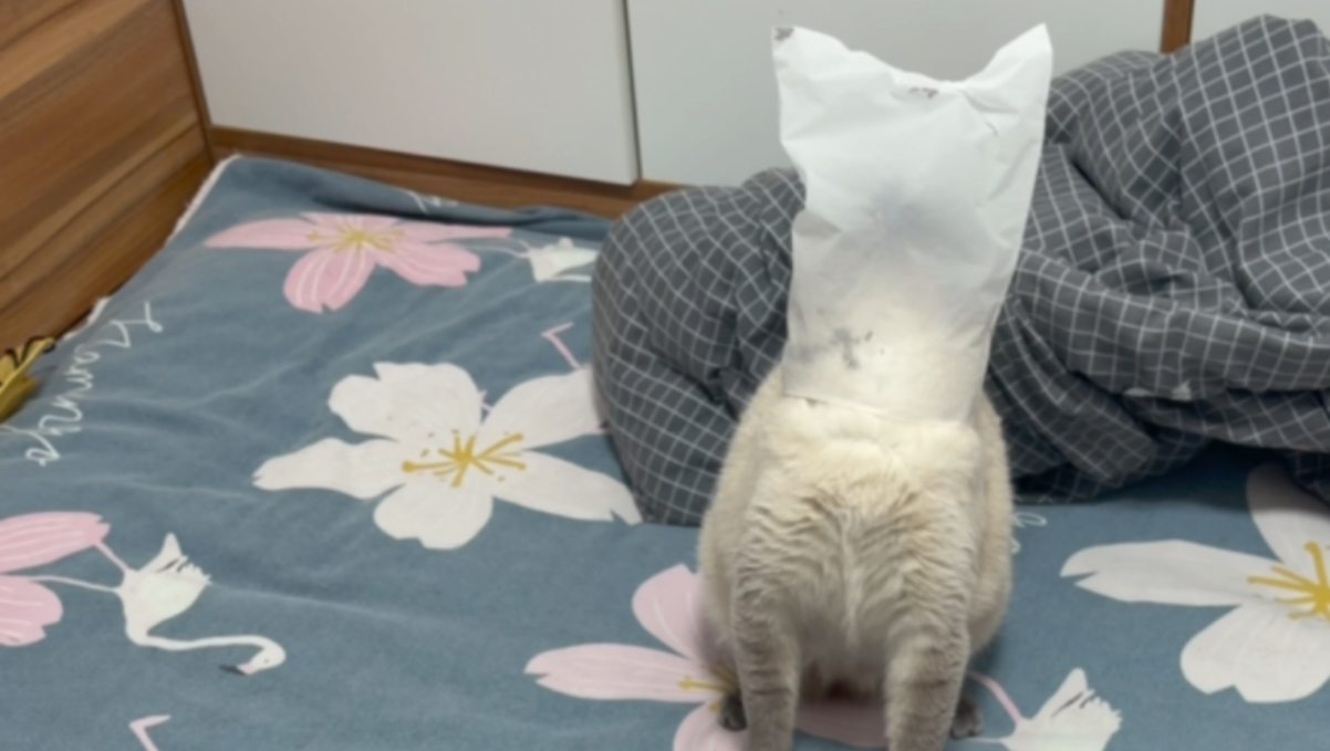 药物控制母女