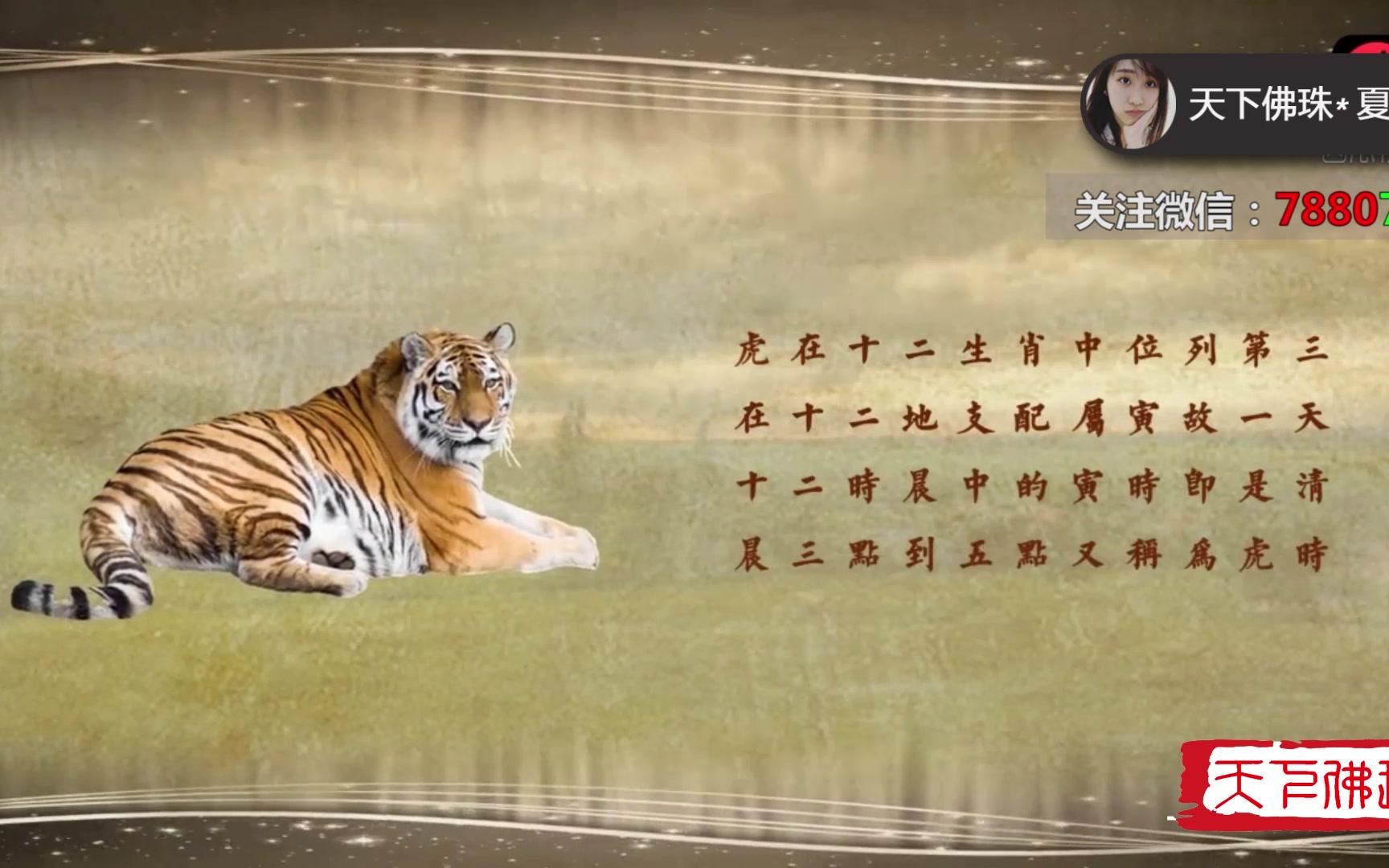 十二生肖:"虎"头上的王字有什么说法?属虎的一定要看!