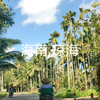 在海南旅居｜2022.02开始抵达琼海的生活
