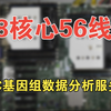 科学计算服务器 CLC Genomics Workbench 基因组测序分析 超微服务器主板 X10DRH XEON 2690V4 组装服务器 按需定制服务器