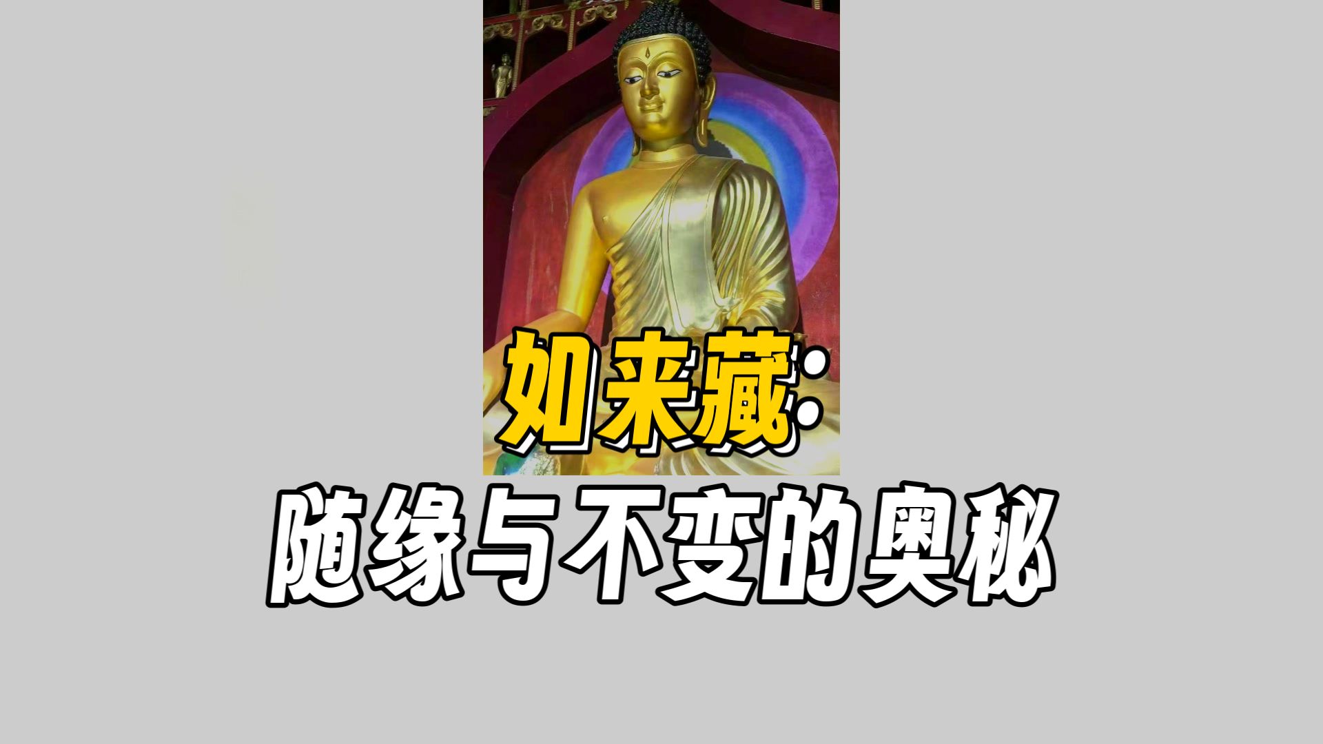 体佛法师开示：如来藏