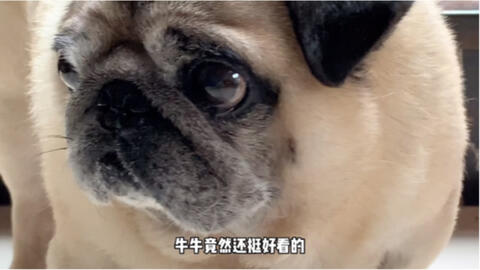 a526e95ec1e6bfe707ddb0acd5531884b90ec1d4.jpg@480w_270h_1c