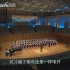 【北京爱乐合唱团】童声合唱：新疆民歌《青春舞曲》 指挥：杨力