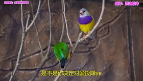 a54aee5c10a9935ecad1c8383a90a59498a20142.jpg@280w_158h_1c_100q.jpg