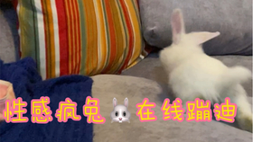 a54b40b422e6263ade773a5b54955def39f7337f.jpg@280w_158h_1c_100q.jpg