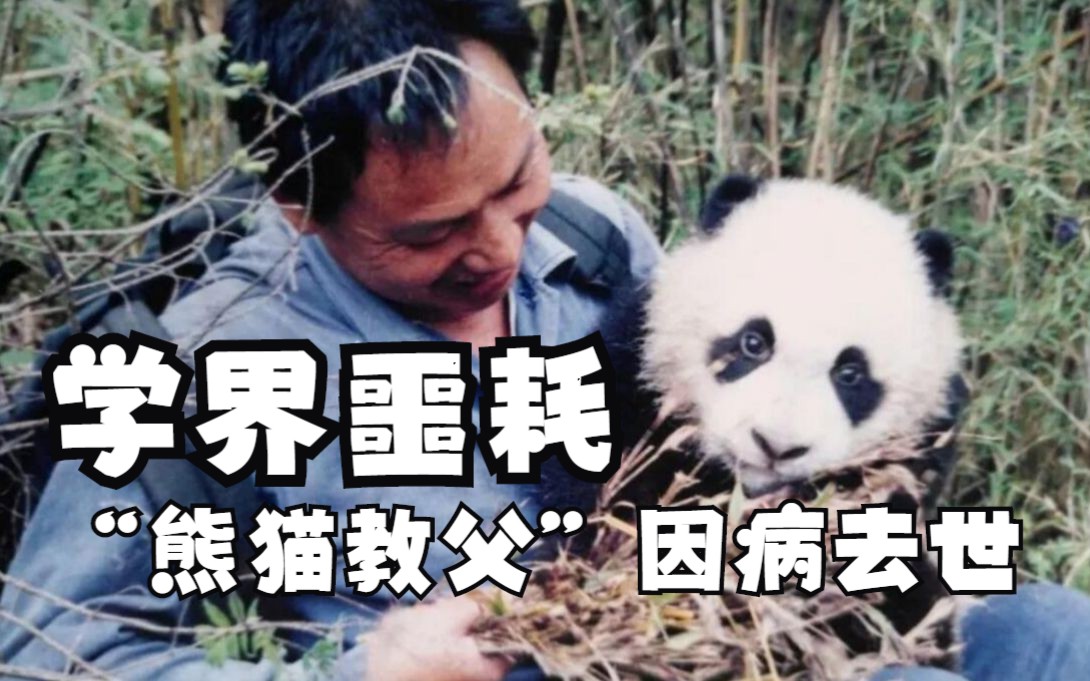 学界噩耗！“中国大熊猫研究的第一把交椅”胡锦矗教授因病离世！
