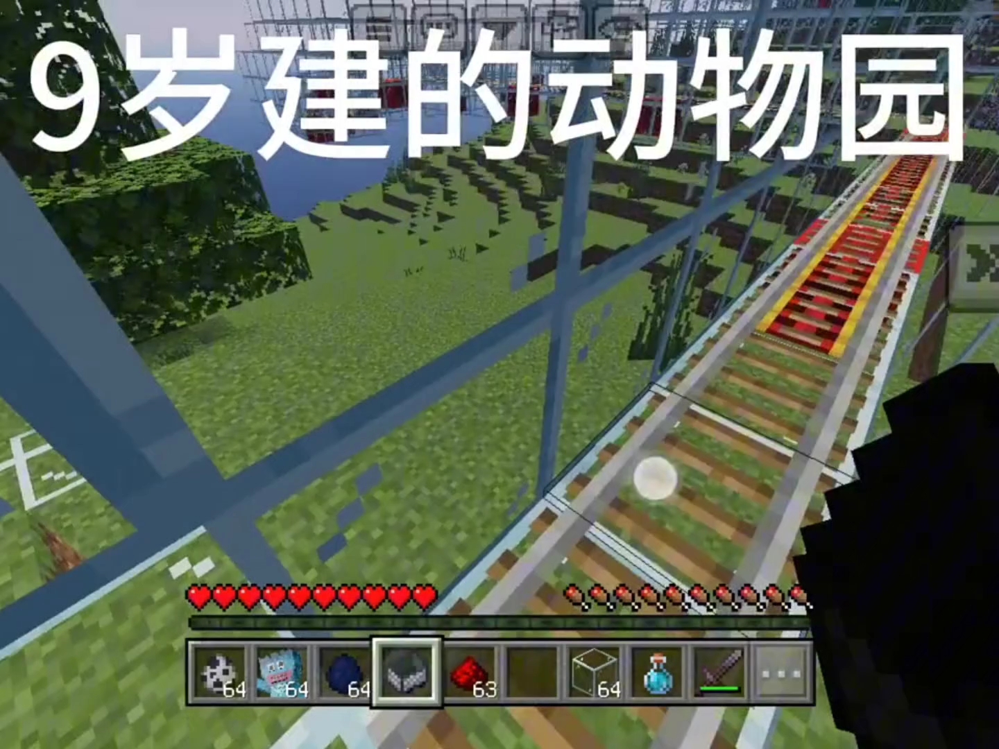 9岁建的动物园