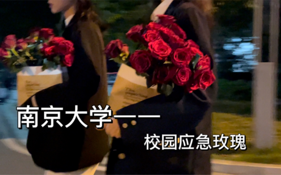 该怎么说:南京大学｜校园应急玫瑰｜来寻找这个秋天属于你的浪漫[一次目更~]的第1张示图