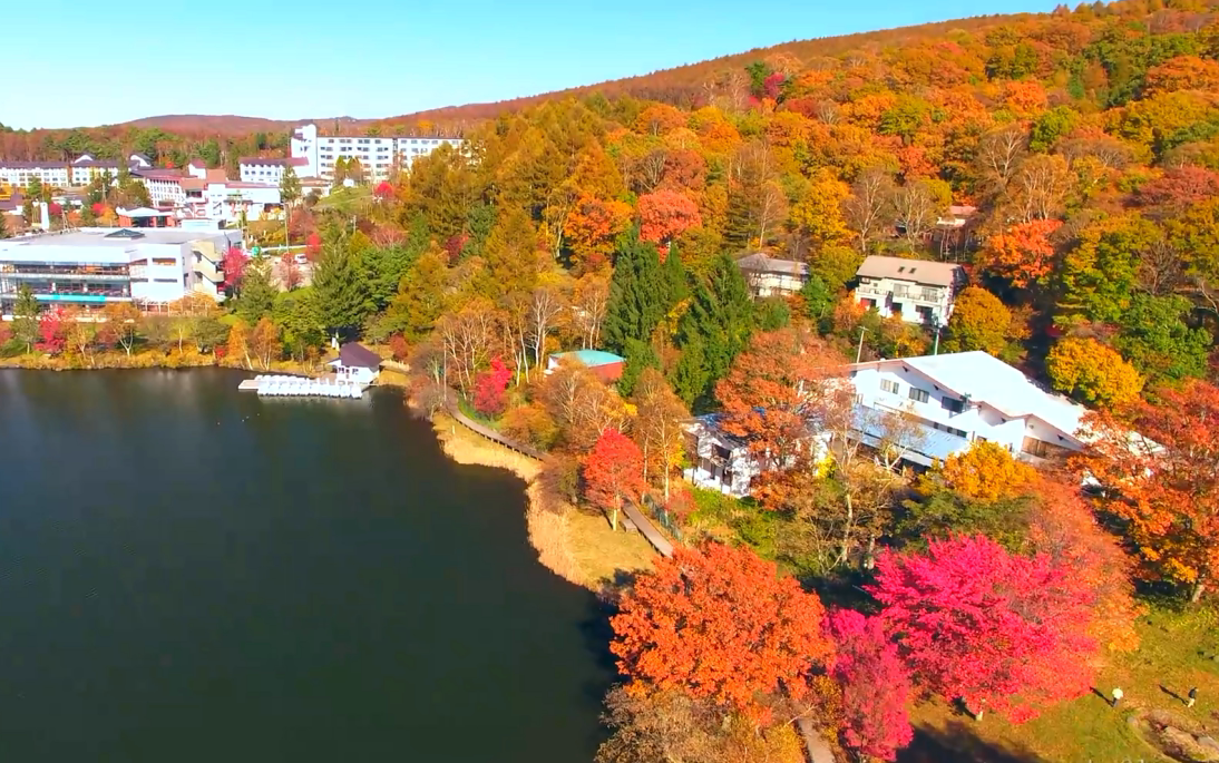 4k Autumn Lake Shirakaba Aerial Cruise 蓼科山白桦湖秋红叶 哔哩哔哩 つロ干杯 Bilibili