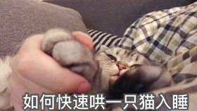 a590090e635a3b1eb613b8096928c45084ecca12.jpg@280w_158h_1c_100q.jpg