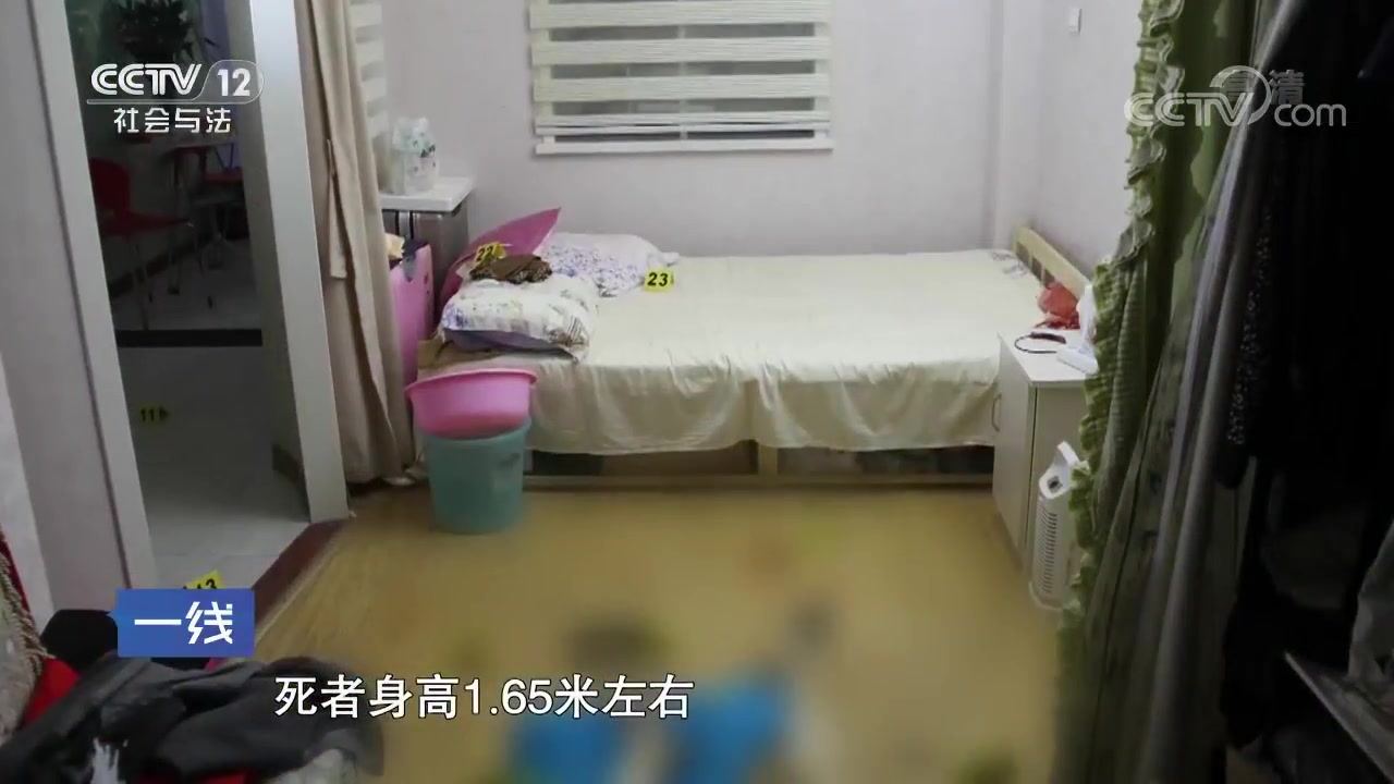 社会与法一线