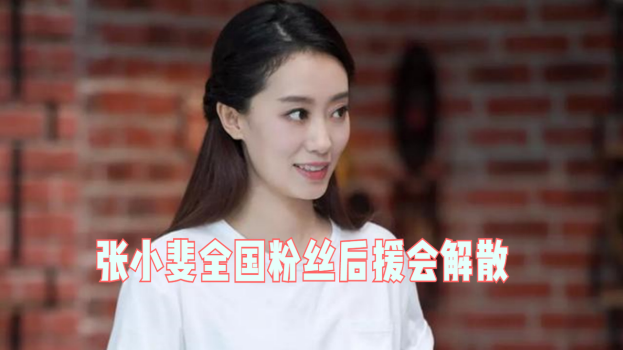 粉丝闹剧结束张小斐全国粉丝后援会解散超话由经纪公司接管