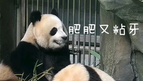 a5b1e4df945b4b68f6908de46231bcc756a14402.jpg@280w_158h_1c_100q.jpg