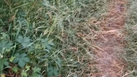 a5ba3b618738d11c8e20089aa50faca5520af376.jpg@280w_158h_1c_100q.jpg