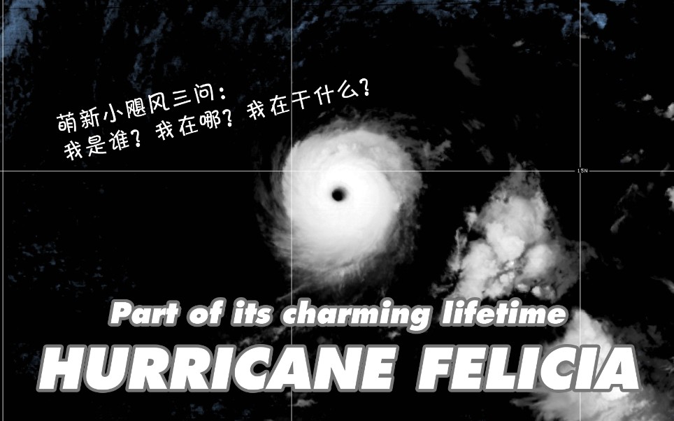 【闲聊飓风】迷你飓风费利西娅 巅峰及前后部分时段哔哩哔哩bilibili