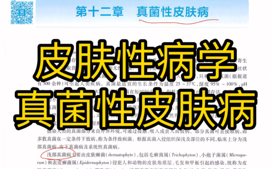 真菌性皮肤病（头、体、股、手足癣，脚气，念珠菌病等）【皮肤性病学期末速成5】