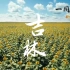【高清1080P+】《航拍中国》第三季·吉林 宣传片