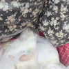 #朵拉纸尿裤#送货篇