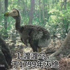 11种近代灭绝的动物以及灭绝原因，看完有什么想说的