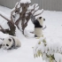 下雪了！快来看大熊猫雪地打滚儿有多可爱！