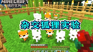a5e8fbf6c0c62ddd80743fd25647fa40218af6c1.jpg@310w_174h_1c_100q.jpg