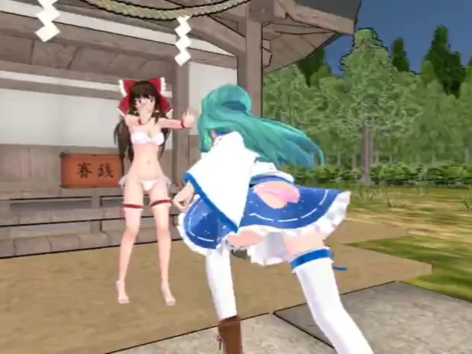 灵梦被要害攻击