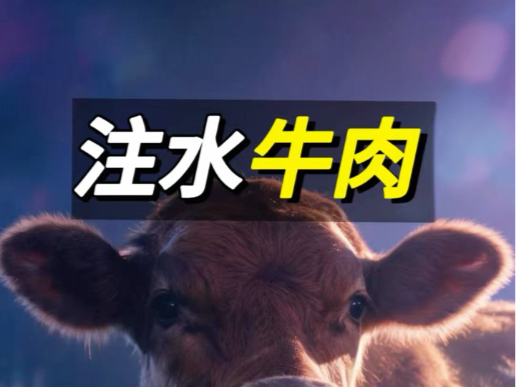 注水牛肉#关爱动物#行业冷知识科普#科普#注水牛肉#牛