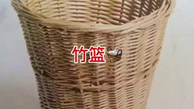 a5f1a2de1fefd62559ca3613bfdcd39bded44ebf.jpg@280w_158h_1c_100q.jpg