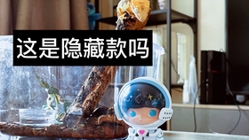 a5f4137367b04fb2843e6f93a045e92b0d16e837.jpg@280w_158h_1c_100q.jpg