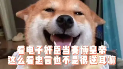看电子奸臣当赛博皇帝，这么看忠言也不是很逆耳嘛