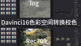 a60157c0a37b999fa39035dc6b6aca1f76d0d323.jpg@280w_158h_1c_100q.jpg