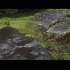 很有韵味[4K] 正伝永源院 ・建仁寺　茶の湯の庭　京都の庭園