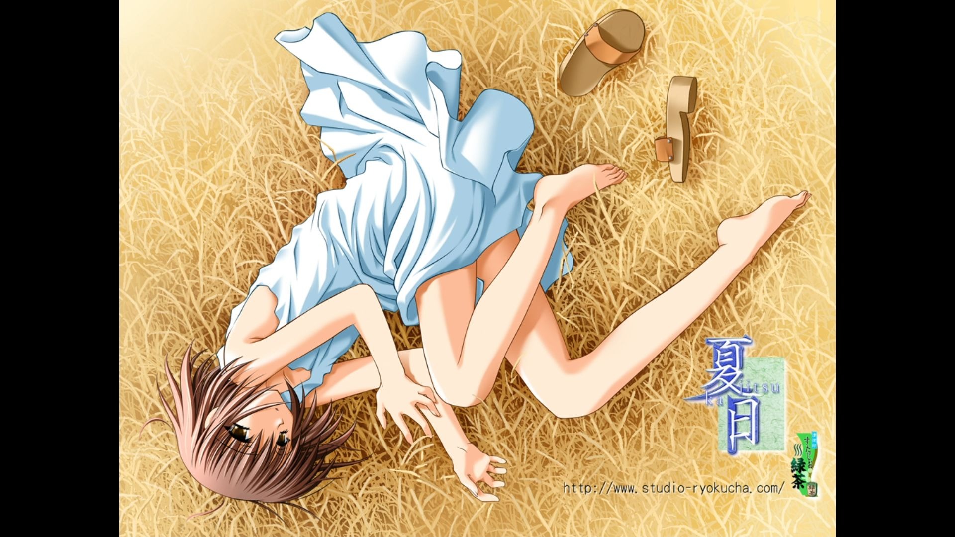 23年前乡村的夏天，倒闭会社的第二部作品：夏日 -kajitsu