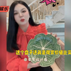 李湘出售家中物品，二手饮具毛巾等物品惹争议，个个都是外国大牌