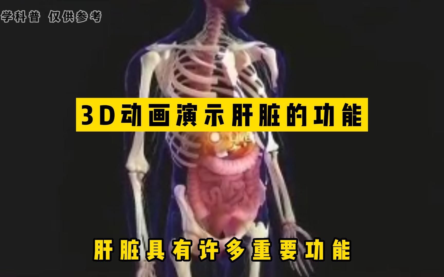 3D动画演示肝脏的功能