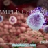 医学动画：HIV病毒与AIDS